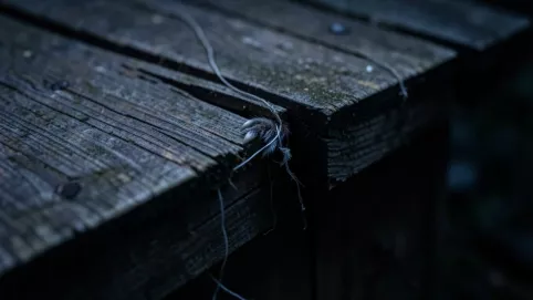 Czy deskowanie dachu chroni przed kunami